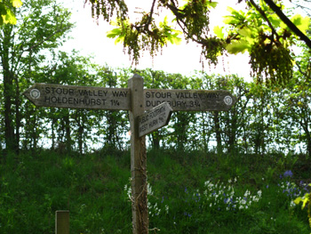 Picture at Throop Mill in Bournemouth, Dorset