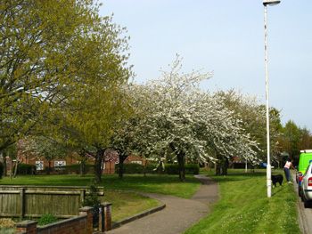 Picture of Ibbertson Road in Bournemouth, Dorset