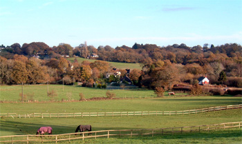 Save our Green Belt Bournemouth