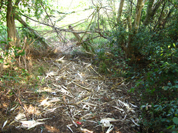 Vandalism on Holdenhurst Farm Bournemouth Dorset 3